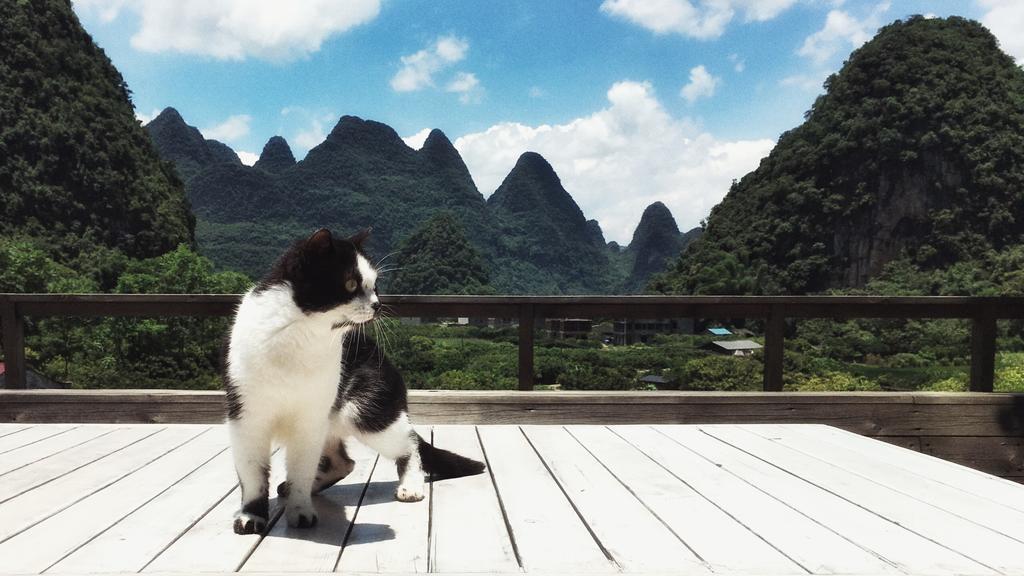Zen Box House Hotel Yangshuo Bagian luar foto