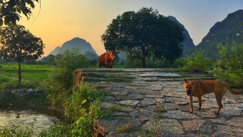 Zen Box House Hotel Yangshuo Bagian luar foto